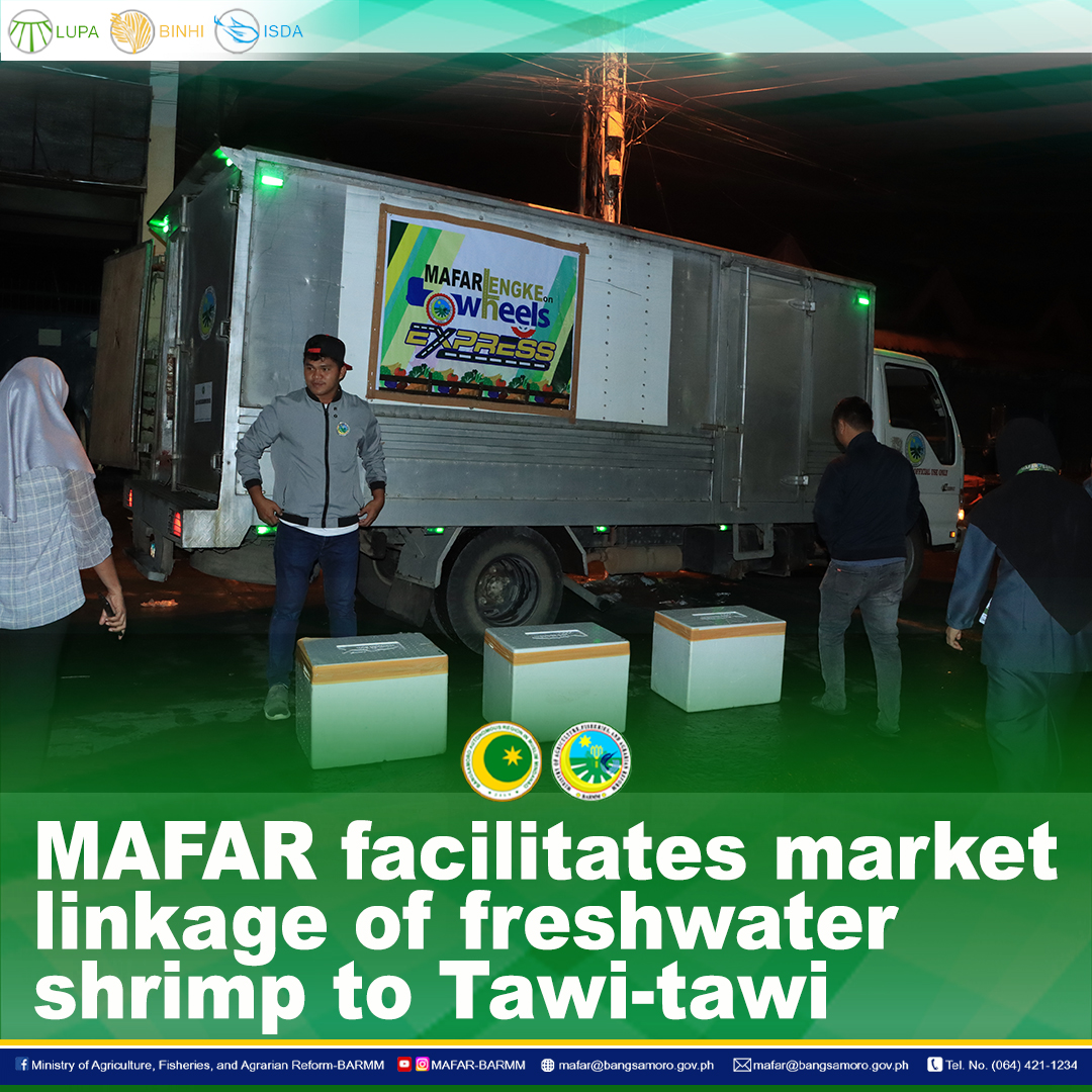 MAFAR facilitates market linkage of freshwater shrimp to Tawi-Tawi