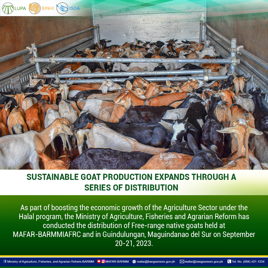SUSTAINABLE GOAT PRODUCTION EXPANDS THROUGH A SERIES OF DISTRIBUTION