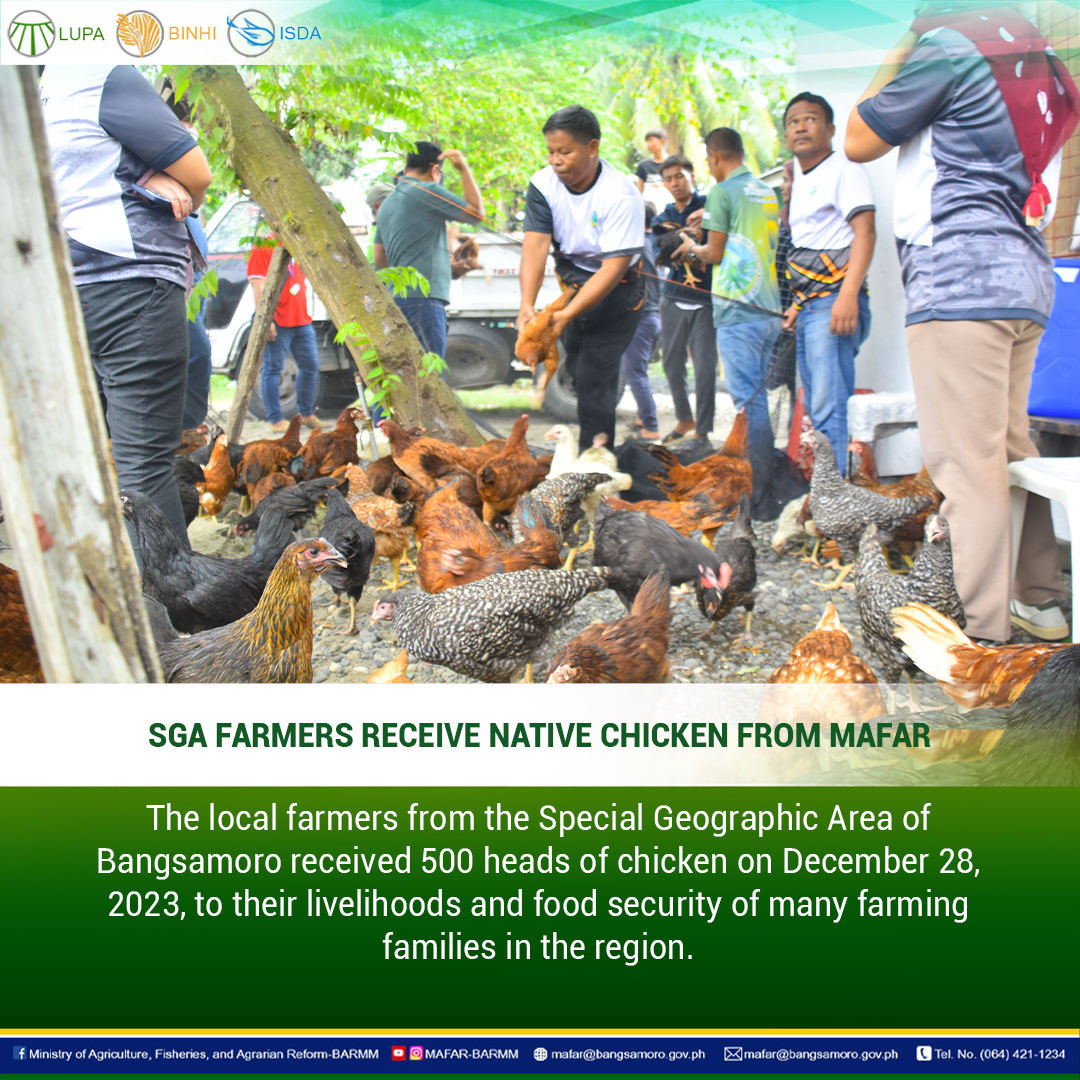 SGA FARMERS RECEIVE NATIVE CHICKEN FROM MAFAR